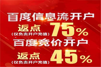 SEM推广实战：成功案例解读与策略调整